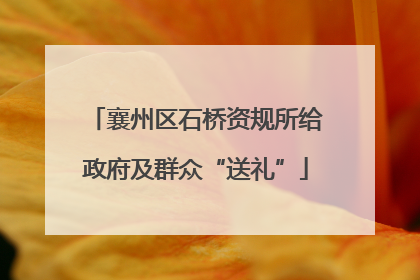 襄州区石桥资规所给政府及群众“送礼”