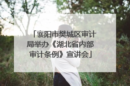 襄阳市樊城区审计局举办《湖北省内部审计条例》宣讲会