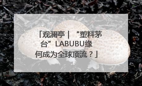观澜亭｜“塑料茅台”LABUBU缘何成为全球顶流？