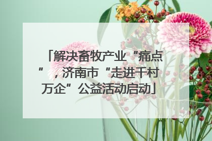 解决畜牧产业“痛点”，济南市“走进千村万企”公益活动启动