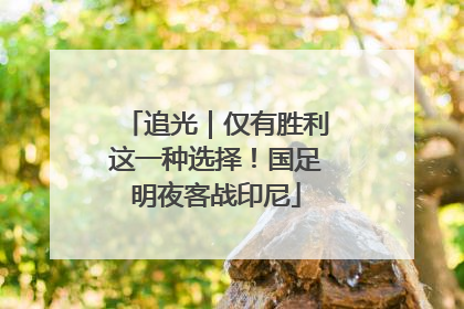 追光｜仅有胜利这一种选择！国足明夜客战印尼
