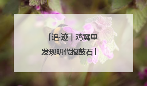 追·迹｜鸡窝里发现明代抱鼓石