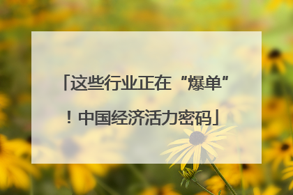 这些行业正在“爆单”！中国经济活力密码