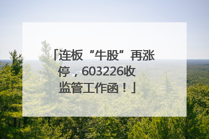 连板“牛股”再涨停，603226收监管工作函！