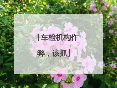 车检机构作弊，该抓