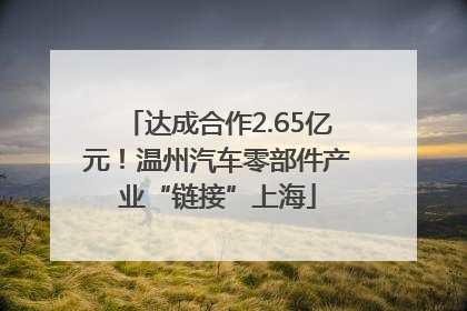 达成合作2.65亿元！温州汽车零部件产业“链接”上海