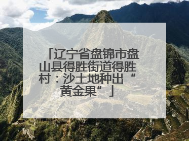 辽宁省盘锦市盘山县得胜街道得胜村：沙土地种出“黄金果”