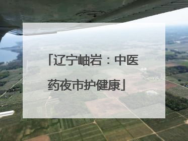 辽宁岫岩：中医药夜市护健康