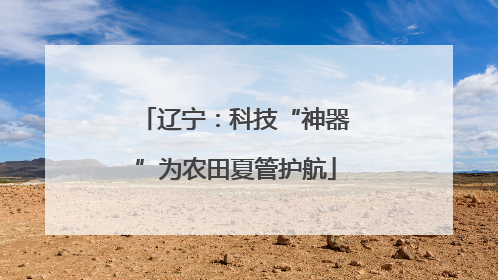 辽宁：科技“神器”为农田夏管护航