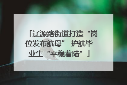 辽源路街道打造“岗位发布航母” 护航毕业生“平稳着陆”