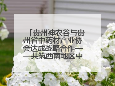 贵州神农谷与贵州省中药材产业协会达成战略合作——共筑西南地区中医药产业新生态