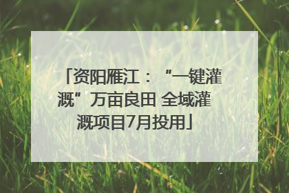 资阳雁江：“一键灌溉”万亩良田 全域灌溉项目7月投用