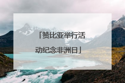 赞比亚举行活动纪念非洲日