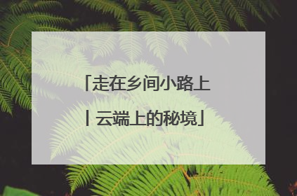 走在乡间小路上丨云端上的秘境