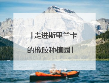 走进斯里兰卡的橡胶种植园
