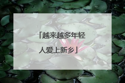 越来越多年轻人爱上新乡
