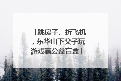 跳房子、折飞机，东华山下父子玩游戏赢公益盲盒