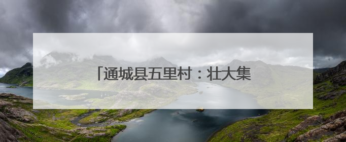 通城县五里村：壮大集体经济 赋能乡村振兴