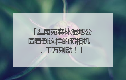 逛南苑森林湿地公园看到这样的照相机，千万别动！