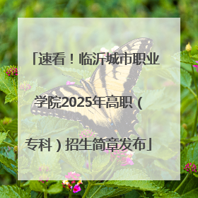 速看！临沂城市职业学院2025年高职（专科）招生简章发布
