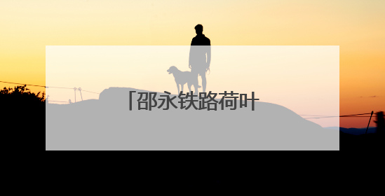 邵永铁路荷叶村隧道贯通
