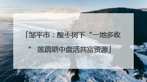 邹平市：酸枣树下“一地多收” 莲藕塘中盘活共富资源