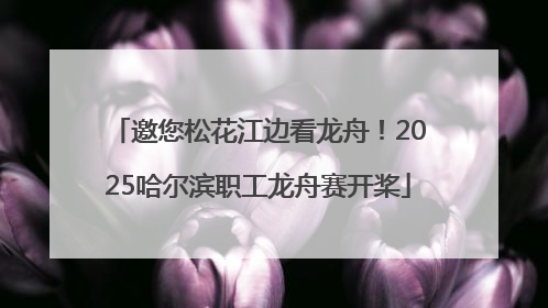 邀您松花江边看龙舟！2025哈尔滨职工龙舟赛开桨
