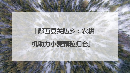 郧西县关防乡：农耕机助力小麦颗粒归仓