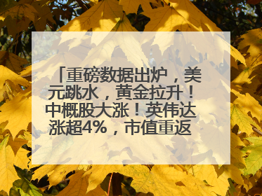 重磅数据出炉，美元跳水，黄金拉升！中概股大涨！英伟达涨超4%，市值重返全球第一！黄仁勋计划出售至多600万股股票