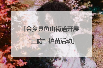 金乡县鱼山街道开展“三防”护苗活动