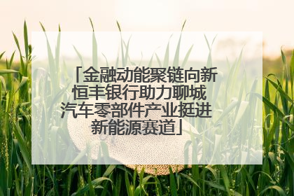 金融动能聚链向新 恒丰银行助力聊城汽车零部件产业挺进新能源赛道