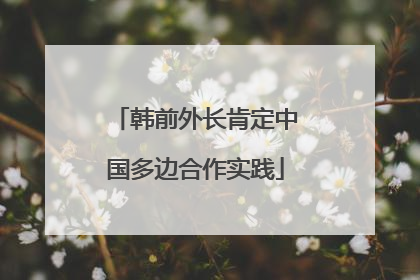 韩前外长肯定中国多边合作实践