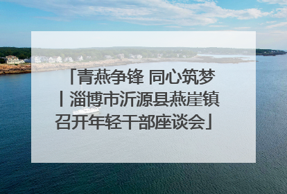 青燕争锋 同心筑梦丨淄博市沂源县燕崖镇召开年轻干部座谈会