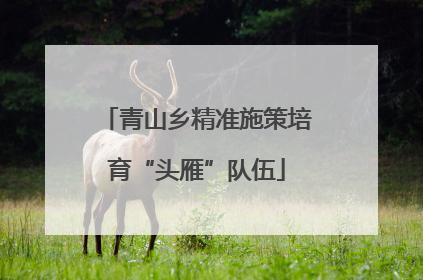 青山乡精准施策培育“头雁”队伍