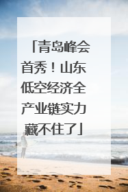 青岛峰会首秀！山东低空经济全产业链实力藏不住了