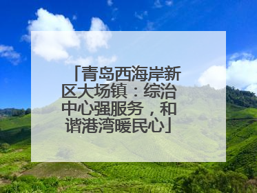 青岛西海岸新区大场镇：综治中心强服务，和谐港湾暖民心