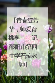 青春绽芳华，师爱育桃李——记邵阳市第四中学石琼老师
