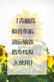 青藏高原首条航油运输铁路专线投入使用