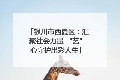 银川市西夏区：汇聚社会力量 “艺”心守护出彩人生