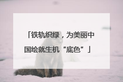 铁轨织绿，为美丽中国绘就生机“底色”
