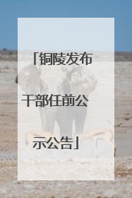 铜陵发布干部任前公示公告