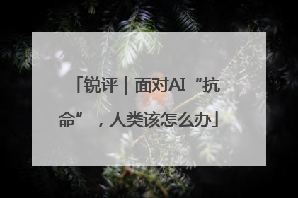 锐评｜面对AI“抗命”，人类该怎么办