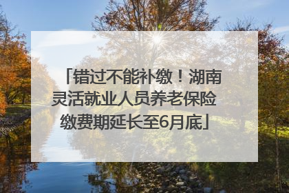 错过不能补缴！湖南灵活就业人员养老保险缴费期延长至6月底