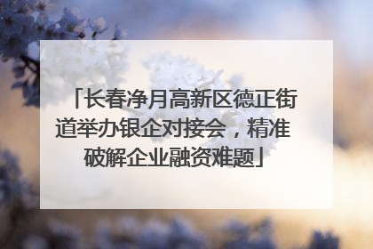长春净月高新区德正街道举办银企对接会，精准破解企业融资难题