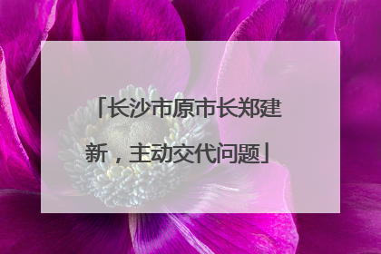 长沙市原市长郑建新，主动交代问题