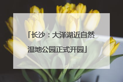 长沙：大泽湖近自然湿地公园正式开园