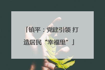 镇平：党建引领 打造居民“幸福里”