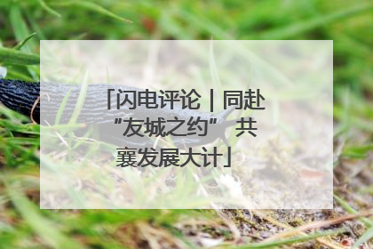 闪电评论｜同赴“友城之约” 共襄发展大计