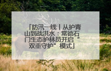 防汛一线丨从护青山到战洪水：常德石门生态护林员开启“双重守护”模式