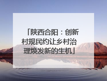 陕西合阳：创新村规民约让乡村治理焕发新的生机